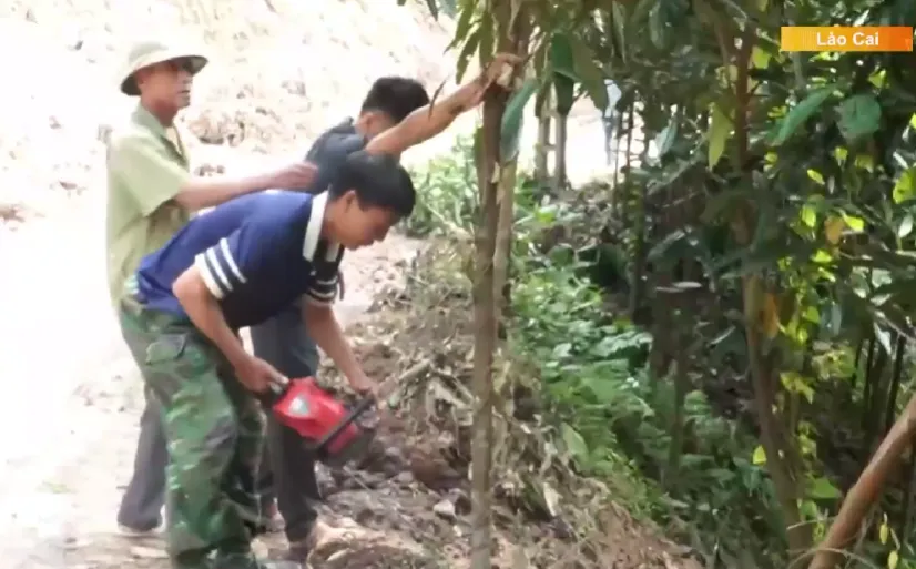 Người dân vùng cao Lào Cai hiến đất, chặt quế mở đường - Ảnh 1.