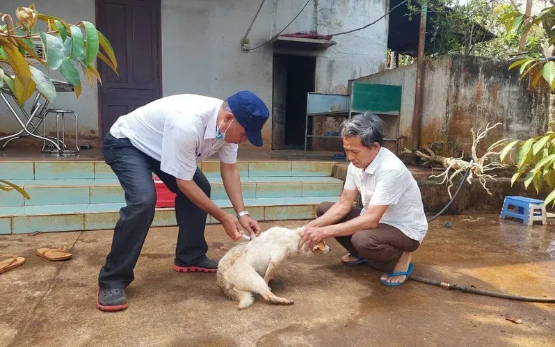 Hình minh họa.