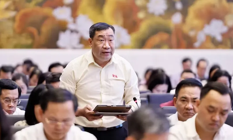 Nhiều đại biểu đồng tình mở rộng đối tượng tham gia bảo hiểm bắt buộc - Ảnh 1.