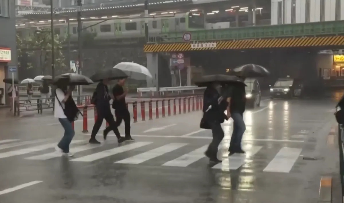 Kỷ lục 34 ngày mưa liên tiếp tại Tokyo- Ảnh 1.