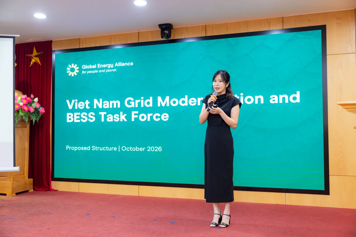 Thúc đẩy hiện đại hóa lưới điện và phát triển BESS tại Việt Nam - Ảnh 7.