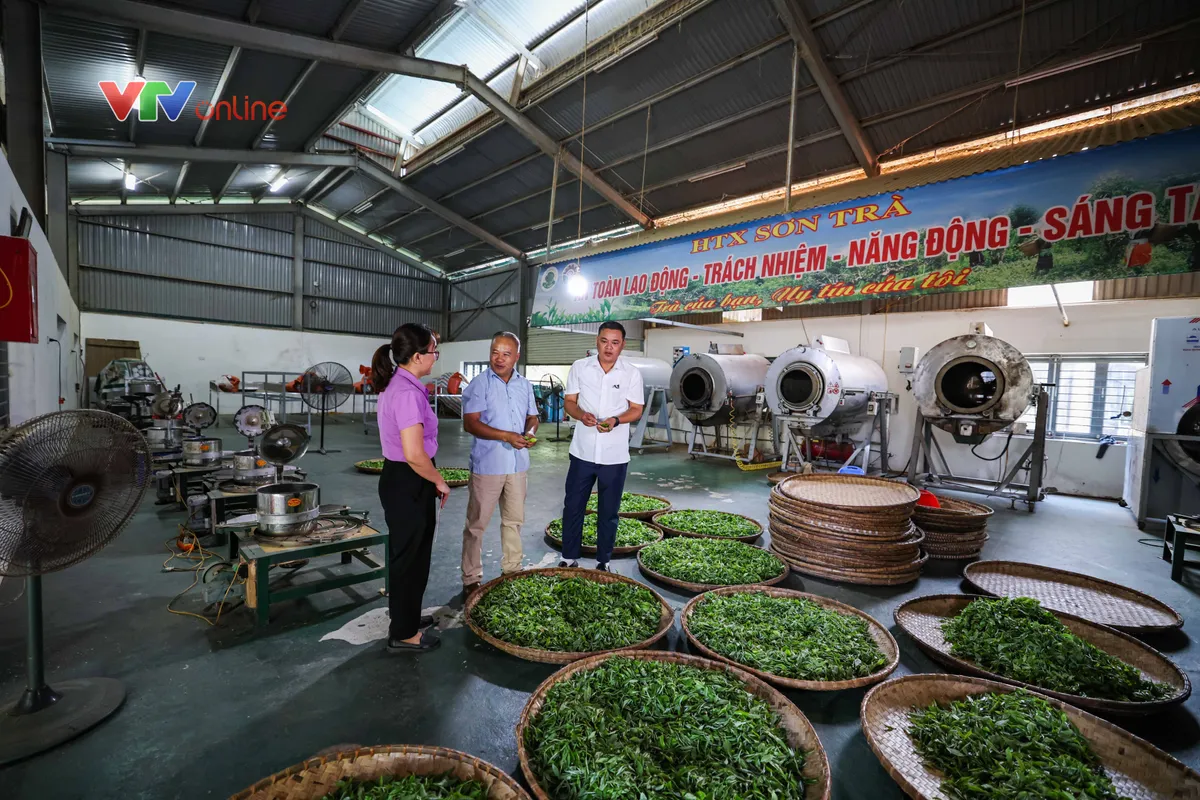 Tuyên Quang: Từ đồi chè Hồng Thái đến những gian hàng trên môi trường số - Ảnh 3.