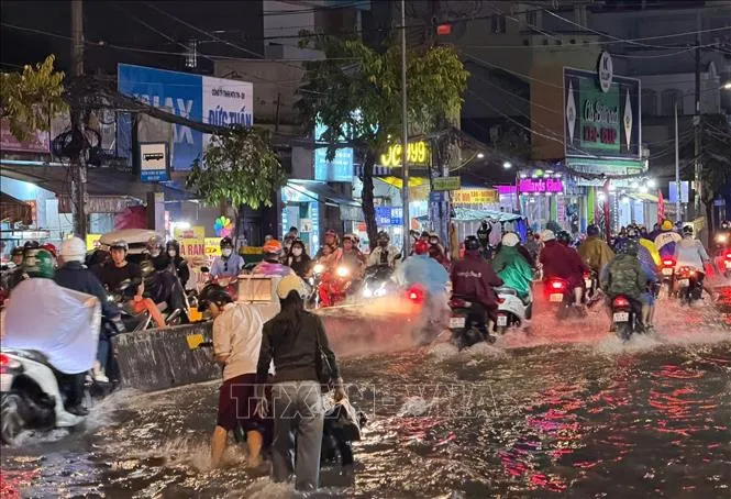 Nhiều khu vực ở TP Hồ Ch&iacute; Minh ngập s&acirc;u do mưa lớn- Ảnh 2.