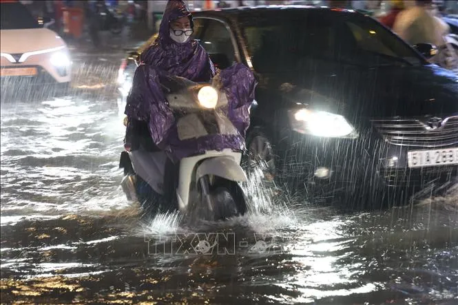 Nhiều khu vực ở TP Hồ Ch&iacute; Minh ngập s&acirc;u do mưa lớn- Ảnh 3.