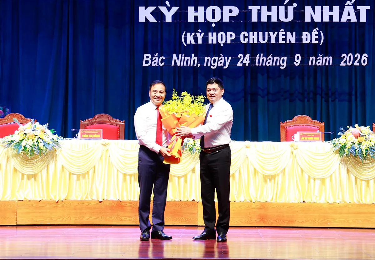Thủ tướng phê chuẩn kết quả bầu Phó Chủ tịch UBND 2 tỉnh, thành phố - Ảnh 1.