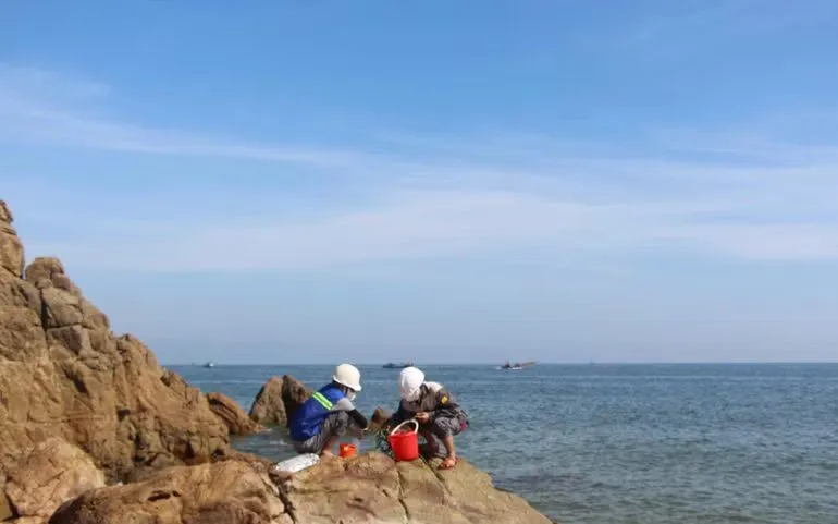 Lực lượng chức năng tiến hành lấy mẫu nước biển để phân tích các chỉ tiêu theo quy định để xác định nguyên nhân cá chết trôi vào bờ biển. (Ảnh: TTXVN)