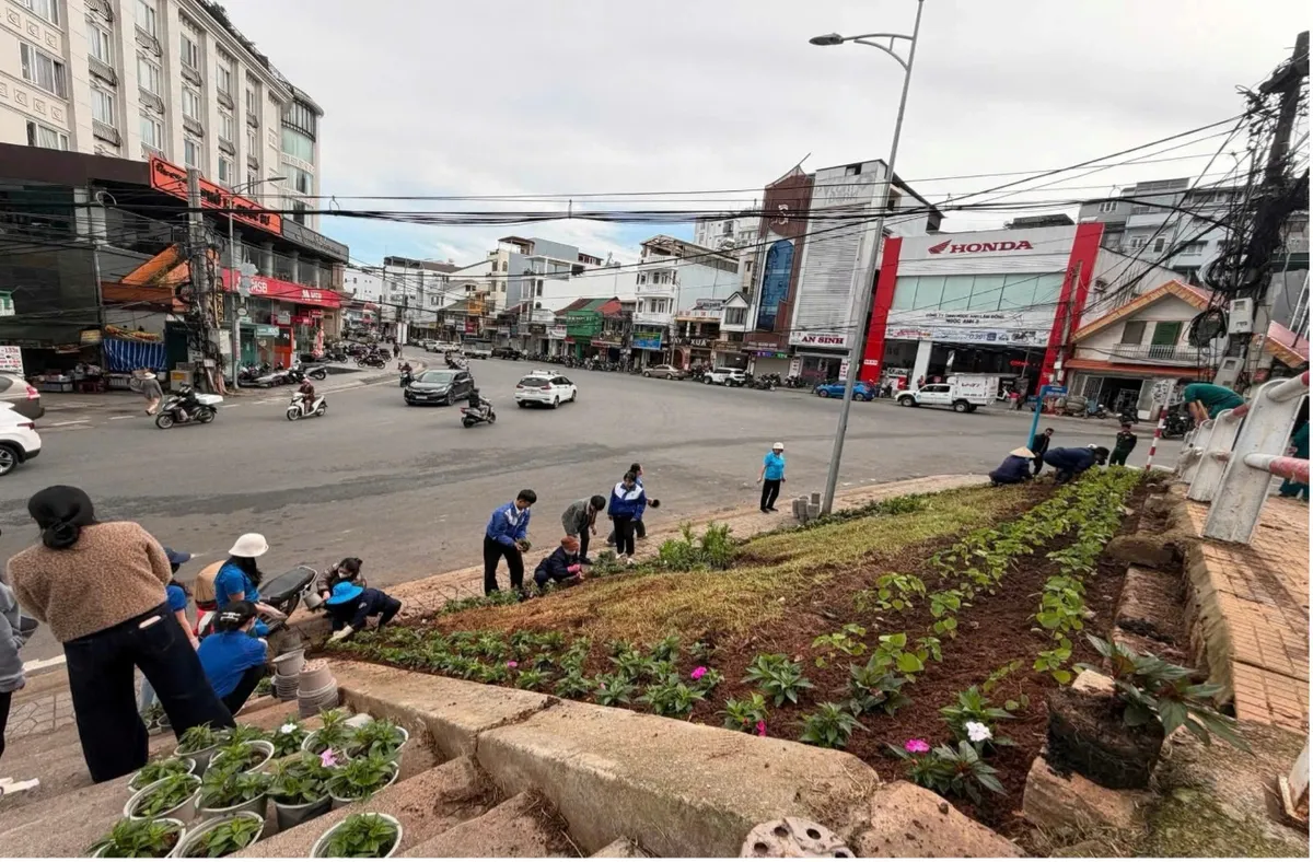 Đà Lạt chỉnh trang đô thị, trồng hoa đón Festival 2026 - Ảnh 2.
