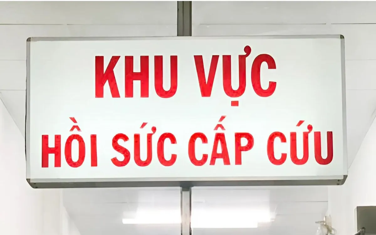 Ảnh minh họa.