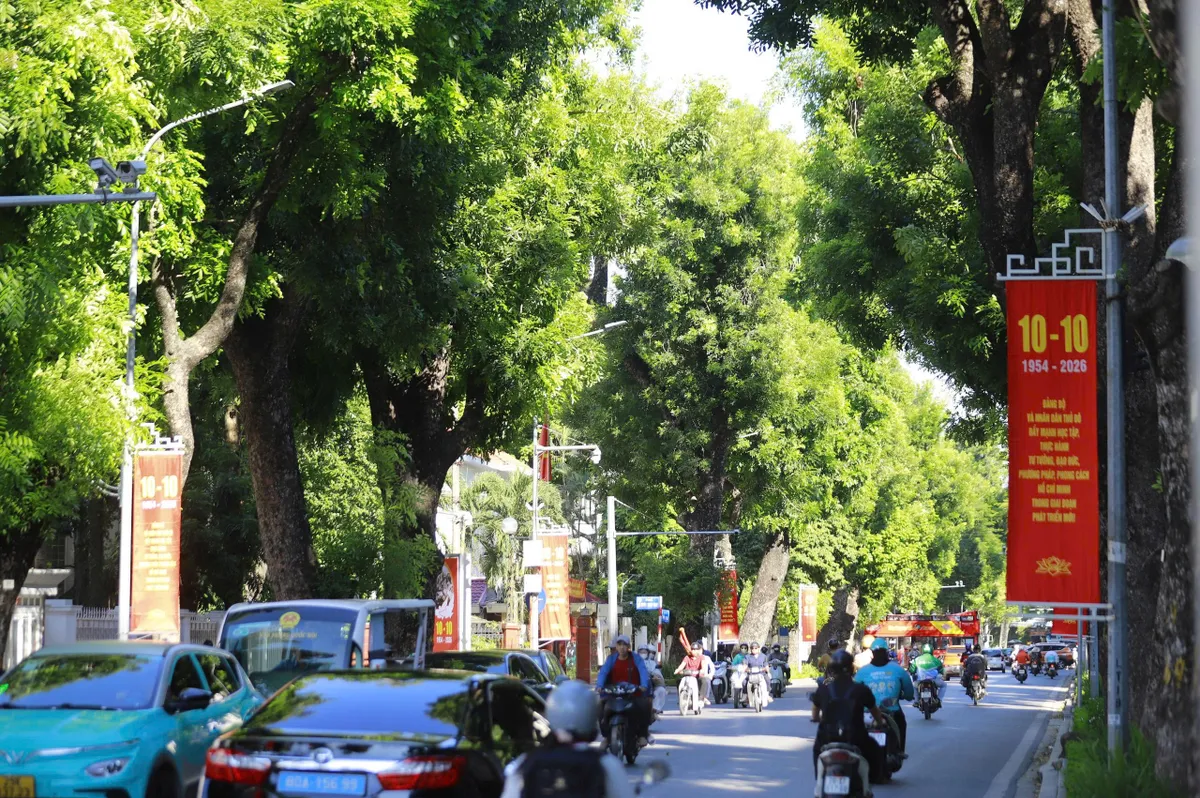 Hà Nội rực rỡ sắc đỏ cờ hoa kỷ niệm 72 năm Ngày Giải phóng Thủ đô - Ảnh 8.