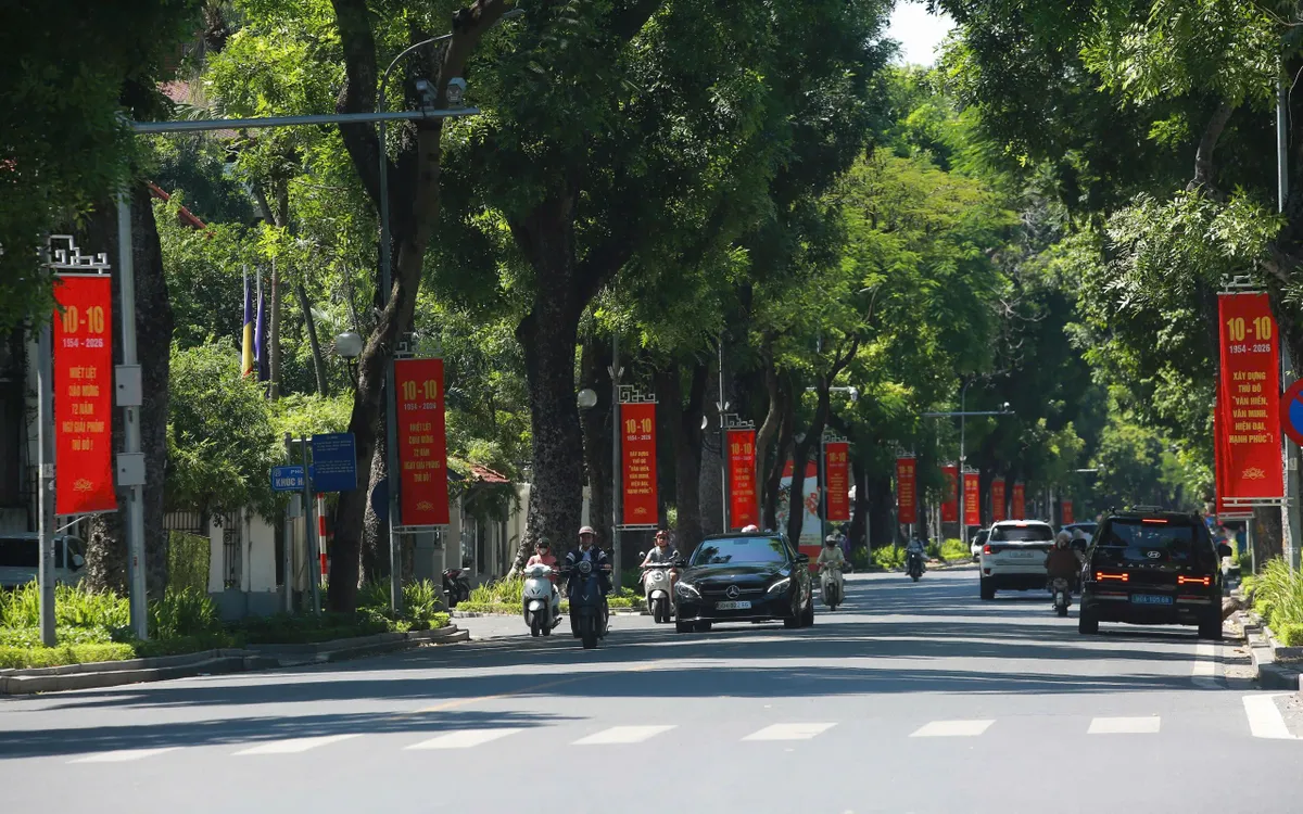 Các tuyến đường rợp bóng cây xanh được thắp sáng bởi hệ thống pa-nô, cờ hoa chào mừng ngày 10/10.