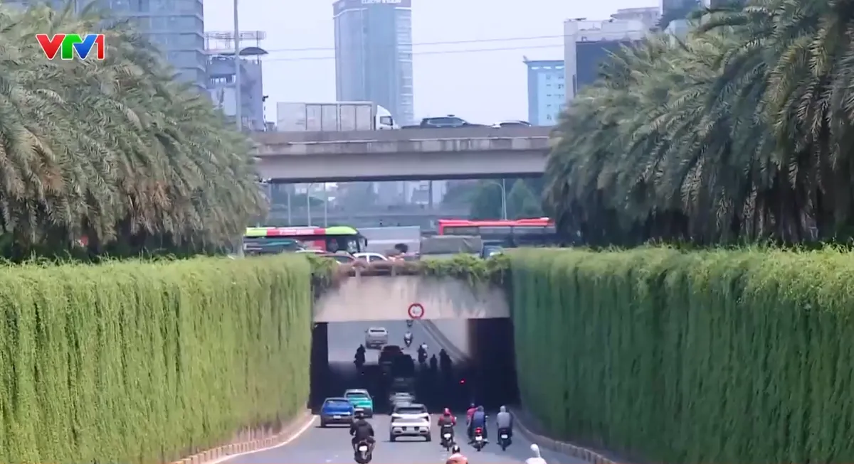 Hà Nội triển khai thí điểm phủ xanh trụ cầu, hầm chui và nhà chờ xe buýt - Ảnh 1.