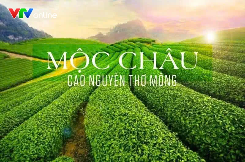Đẩy nhanh thủ tục dự &aacute;n cao tốc Mộc Ch&acirc;u - Sơn La - Điện Bi&ecirc;n - Ảnh 4.