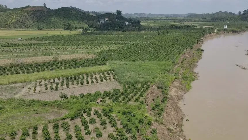 Sạt lở bờ s&ocirc;ng Kr&ocirc;ng N&ocirc; đe dọa c&ocirc;ng tr&igrave;nh nhiều hạng mục v&agrave; đất sản xuất - Ảnh 2.