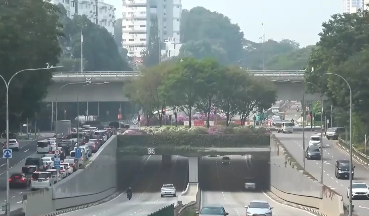 Singapore phủ xanh công trình giao thông- Ảnh 1.