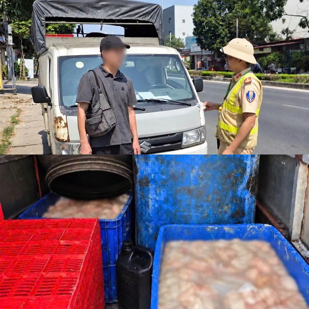 Phú Thọ phát hiện xe ô tô chở 820 kg lòng lợn bốc mùi hôi thối - Ảnh 1.