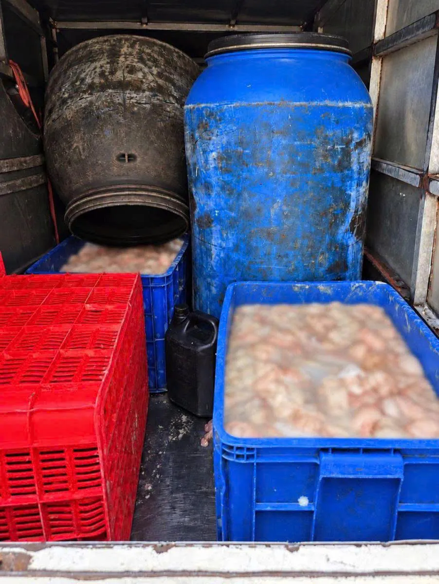 Phú Thọ phát hiện xe ô tô chở 820 kg lòng lợn bốc mùi hôi thối - Ảnh 2.