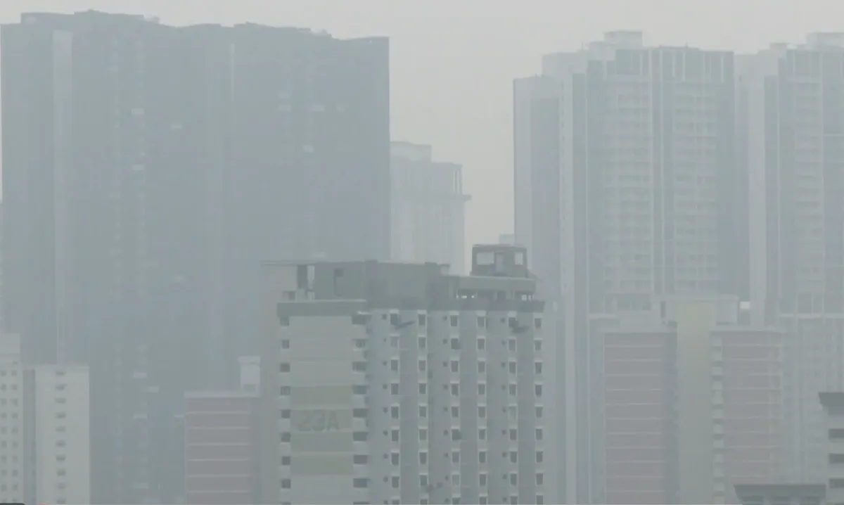 Singapore khẩn trương ứng phó khói mù- Ảnh 1.
