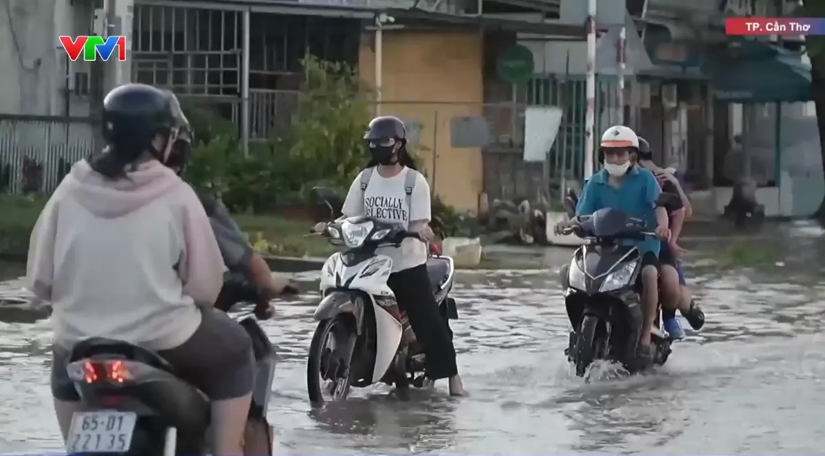 Cần Thơ đề xuất chi hơn 8.000 tỷ đồng x&acirc;y 2 &acirc;u thuyền chống ngập - Ảnh 1.
