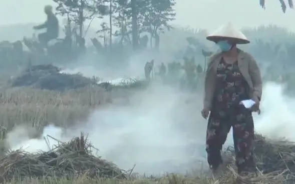 Ảnh minh họa. Nguồn: Thời sự VTV