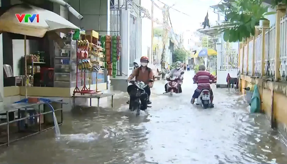 Chống ngập ở ĐBSCL cần giải pháp liên vùng - Ảnh 1.