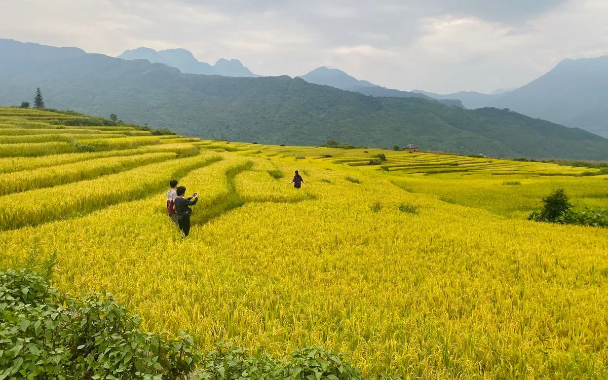 Khoảnh khắc đẹp tuần qua: Gi&agrave;nh giật sự sống, nối d&agrave;i niềm vui - Ảnh 3.