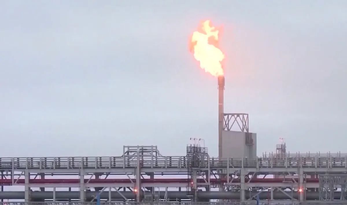 Nga, Ukraine chưa xác nhận ngừng tấn công các cơ sở năng lượng- Ảnh 1.