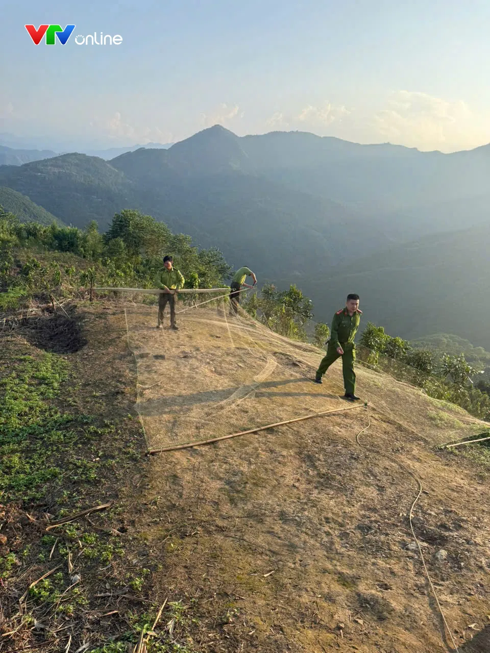 Quyết liệt ngăn chặn nạn “tận diệt” chim trời - Ảnh 4.