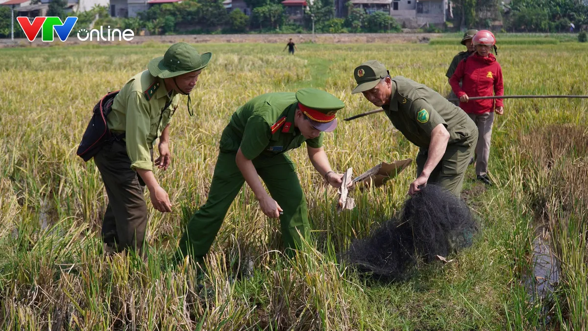 Quyết liệt ngăn chặn nạn “tận diệt” chim trời - Ảnh 1.