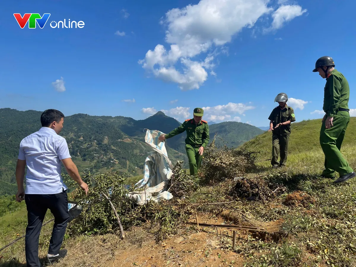 Quyết liệt ngăn chặn nạn “tận diệt” chim trời - Ảnh 5.