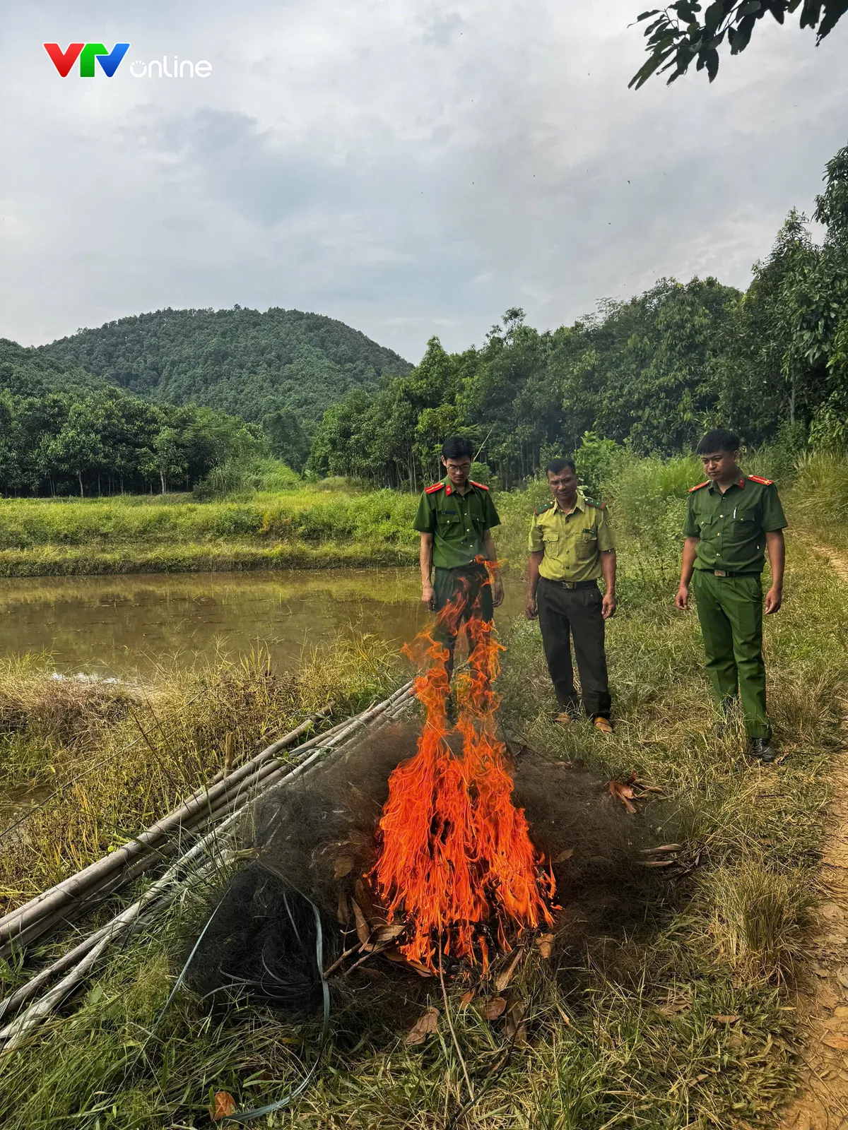 Quyết liệt ngăn chặn nạn “tận diệt” chim trời - Ảnh 2.