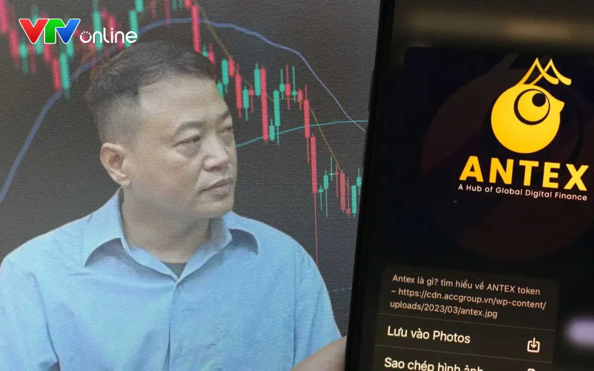 Bị can Nguyễn Hòa Bình, Chủ tịch HĐQT Công ty CP Tập đoàn NextTech.