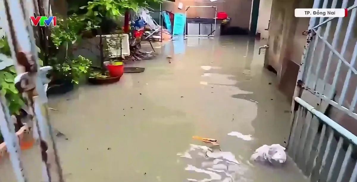 Mưa lớn kết hợp triều cường gây ngập các vùng trũng thấp - Ảnh 1.