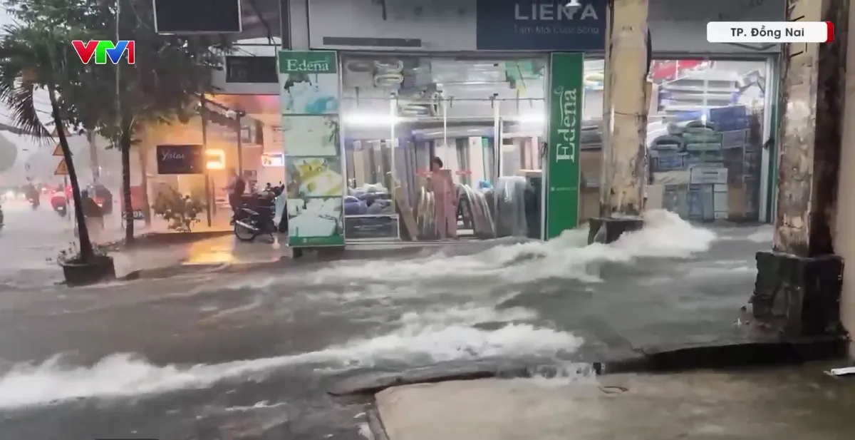 Mưa lớn kết hợp triều cường gây ngập các vùng trũng thấp - Ảnh 2.
