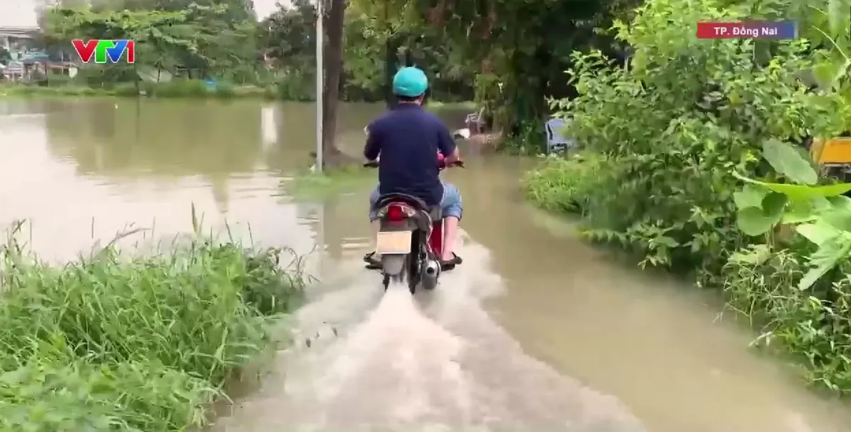 Triều cường g&acirc;y ngập nhiều khu d&acirc;n cư v&ugrave;ng hạ lưu - Ảnh 1.