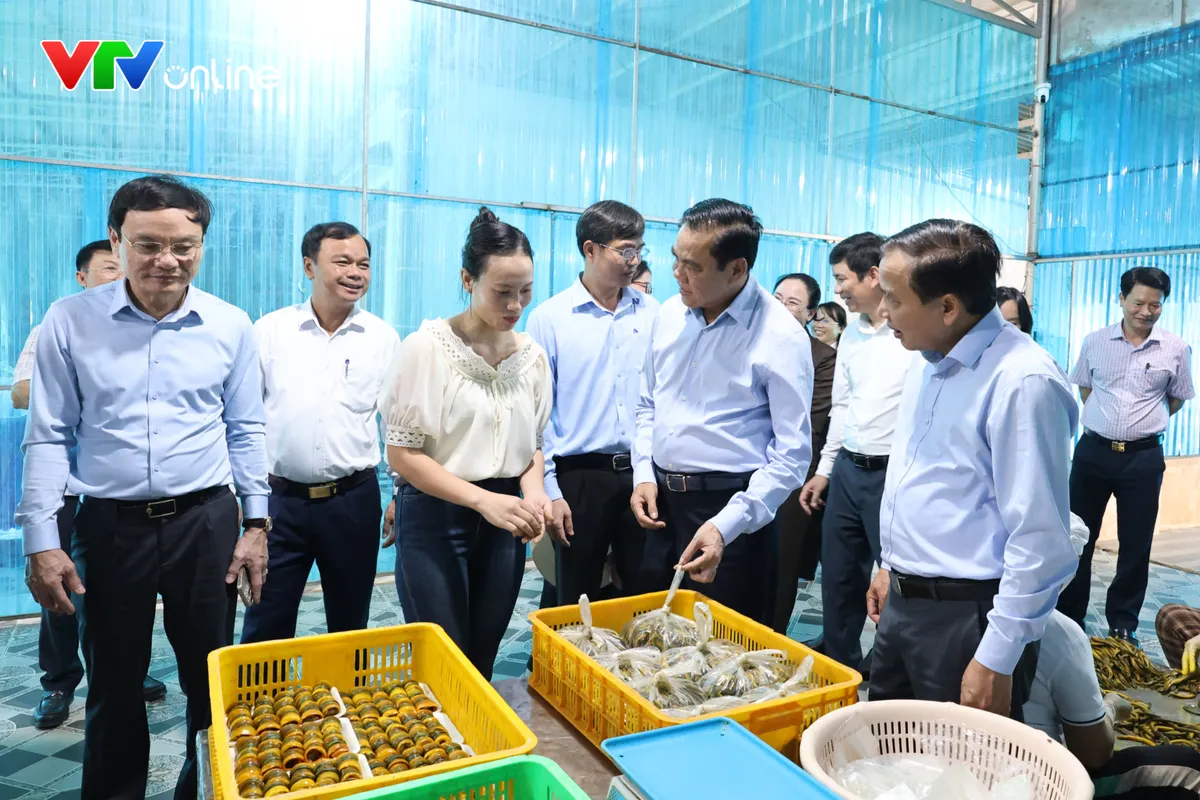 Làm giàu ở “làng lươn” xứ Nghệ, doanh thu hàng trăm tỷ đồng/năm - Ảnh 1.