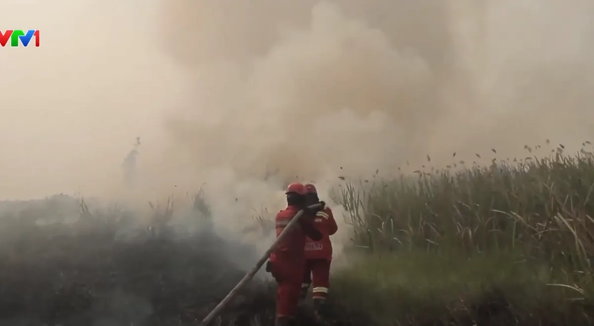 Indonesia ứng phó cháy rừng nghiêm trọng nhất trong 11 năm qua- Ảnh 2.