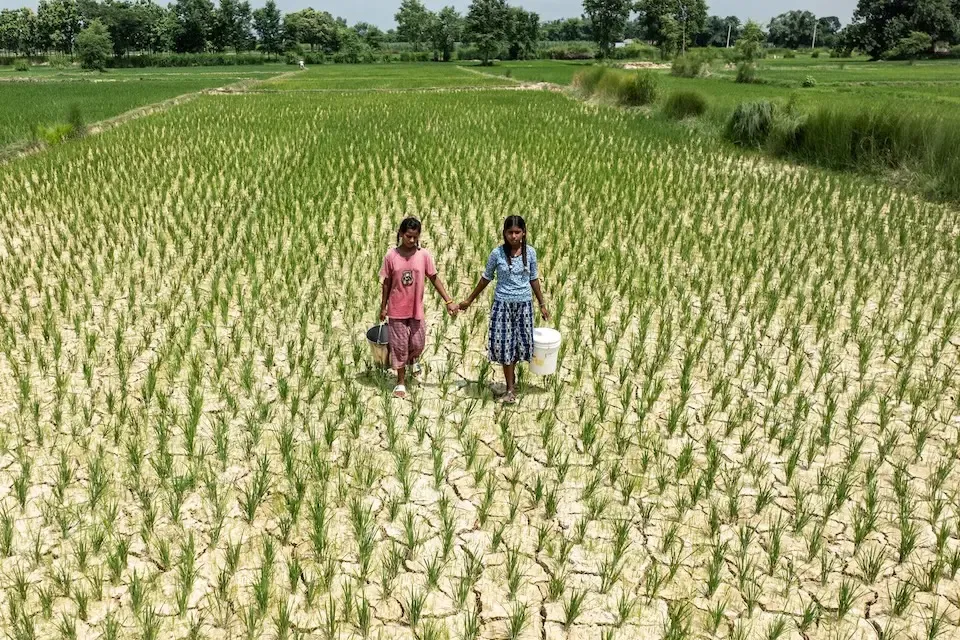 Hơn 347 triệu trẻ em có nguy cơ chịu tác động của El Nino mạnh- Ảnh 1.