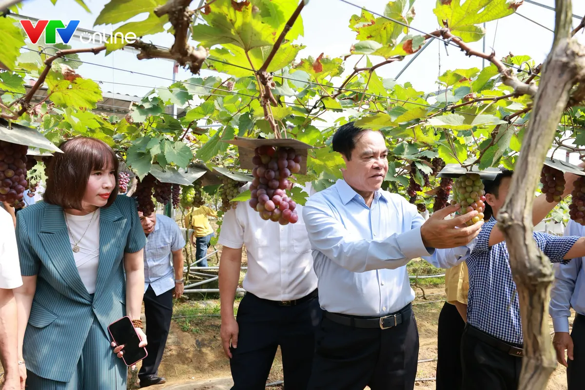 Người nông dân xứ Nghệ quyết tâm bắt “vùng đất khó” biến thành trang trại công nghệ cao - Ảnh 1.