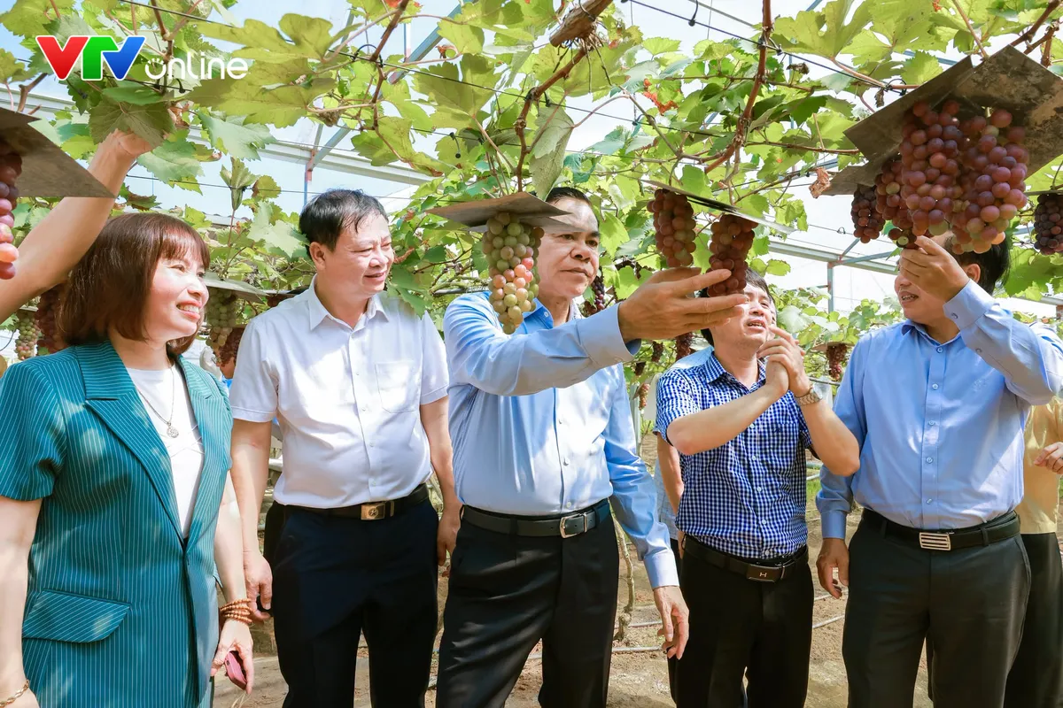 Người nông dân xứ Nghệ quyết tâm bắt “vùng đất khó” biến thành trang trại công nghệ cao - Ảnh 2.