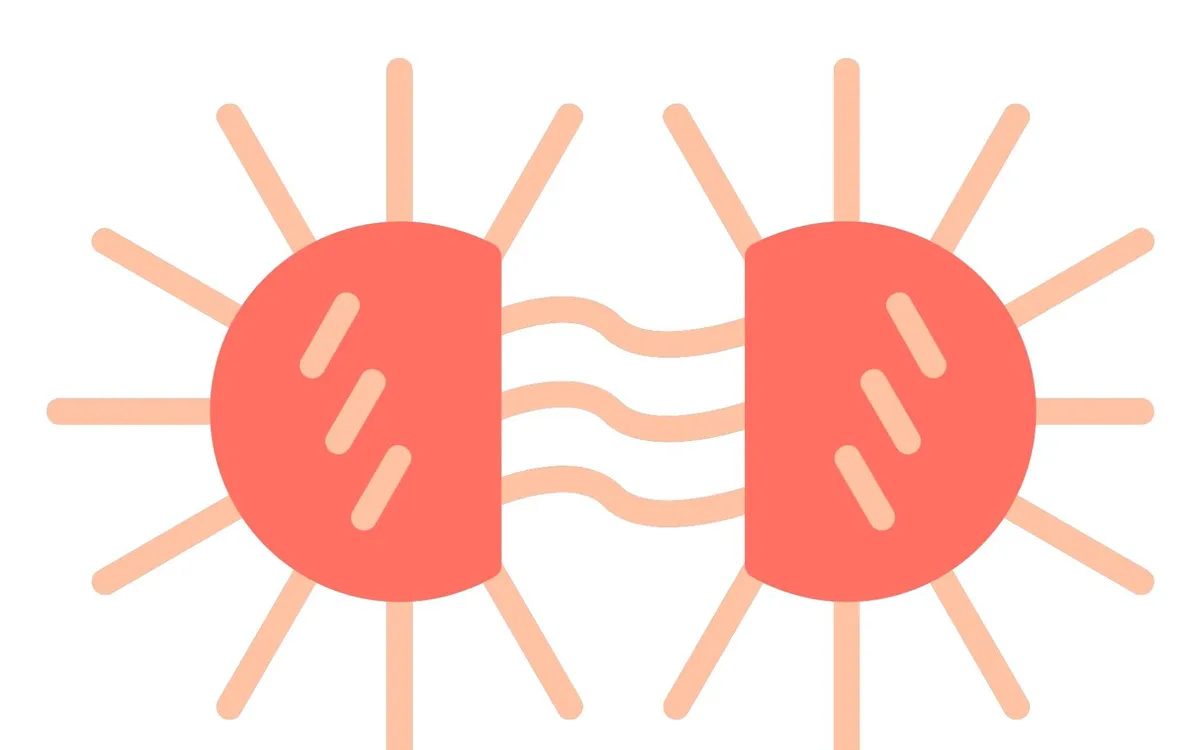Hình minh hoạ: Vector Icons