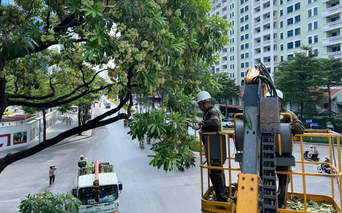 Ảnh: Thời sự VTV
