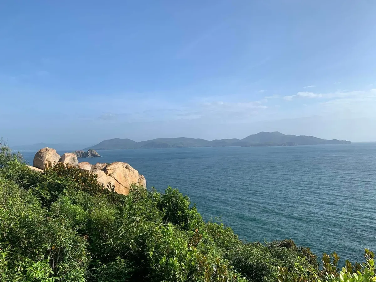 Một mùa hoa tím bên miền di sản- Ảnh 6.