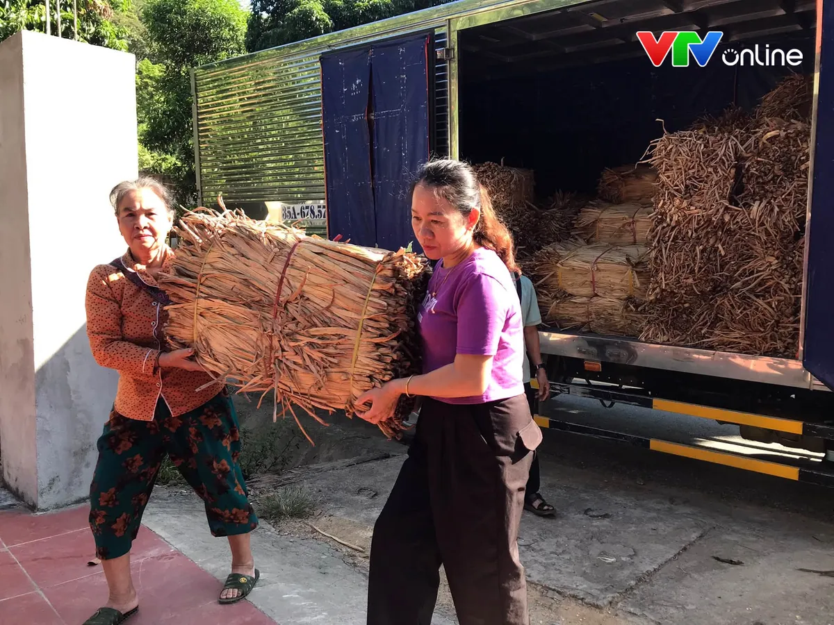 Nghề đan b&egrave;o t&acirc;y ở v&ugrave;ng cao Nghệ An&hellip; &ldquo;xuất ngoại&rdquo; - Ảnh 3.
