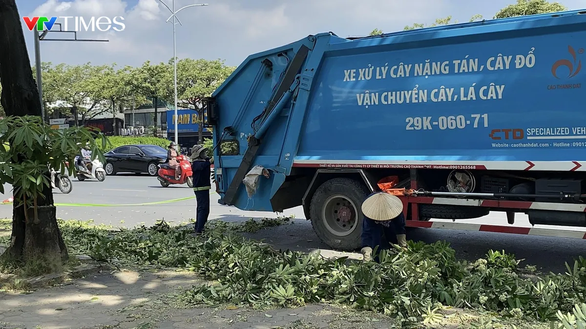 Hà Nội cắt tỉa hoa sữa: Người đồng tình, người muốn giữ làm kỷ niệm- Ảnh 2.