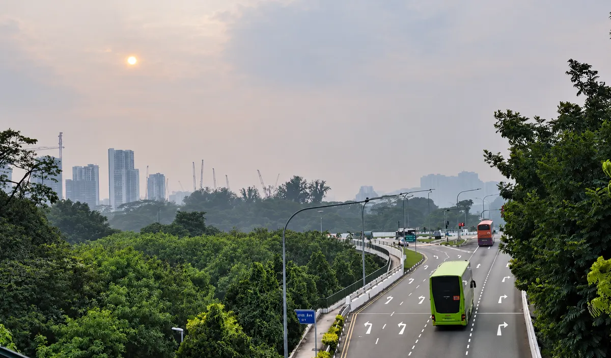 Singapore thành lập lực lượng đặc nhiệm ứng phó khói mù - Ảnh 1.