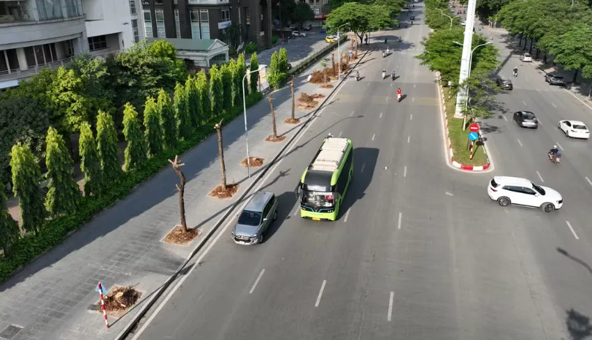 H&agrave; Nội di dời c&acirc;y xanh để x&acirc;y hầm chui thứ 8 - Ảnh 1.