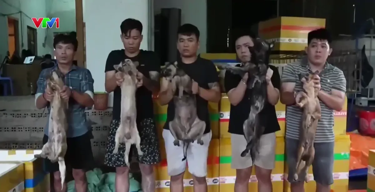 Triệt phá đường dây trộm cắp, giết mổ chó mèo quy mô lớn tại Thành phố Hồ Chí Minh - Ảnh 1.