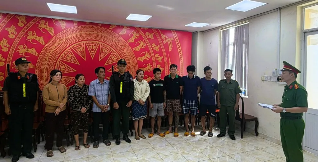 Triệt phá đường dây tiêu thụ 400 tấn lợn bệnh, lợn chết, thu lợi hơn 10 tỷ đồng - Ảnh 1.