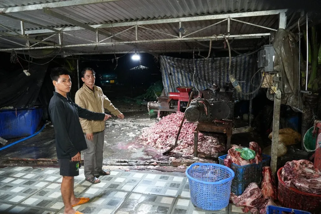 Triệt phá đường dây tiêu thụ 400 tấn lợn bệnh, lợn chết, thu lợi hơn 10 tỷ đồng - Ảnh 2.