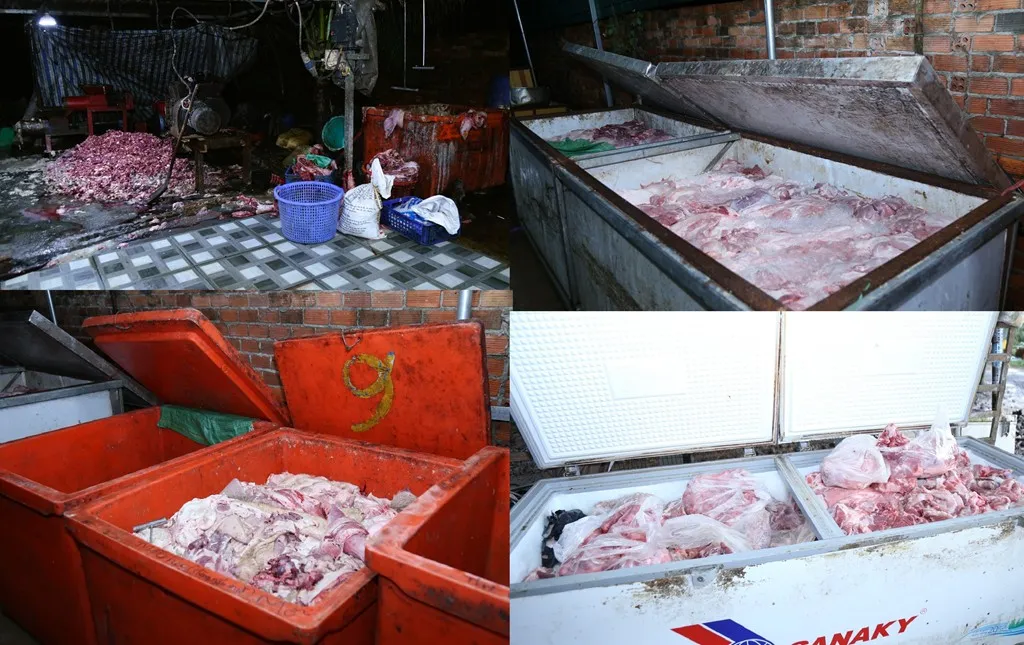 Triệt phá đường dây tiêu thụ 400 tấn lợn bệnh, lợn chết, thu lợi hơn 10 tỷ đồng - Ảnh 3.